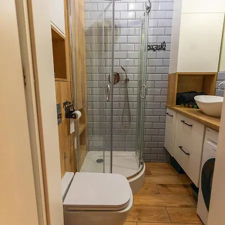 Brick Loft Premium דירה גדנסק