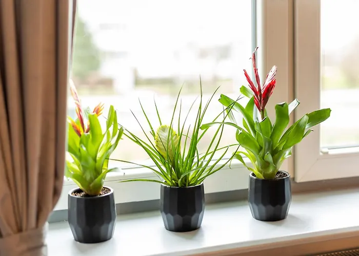 Brick Loft Premium Apartament Gdańsk